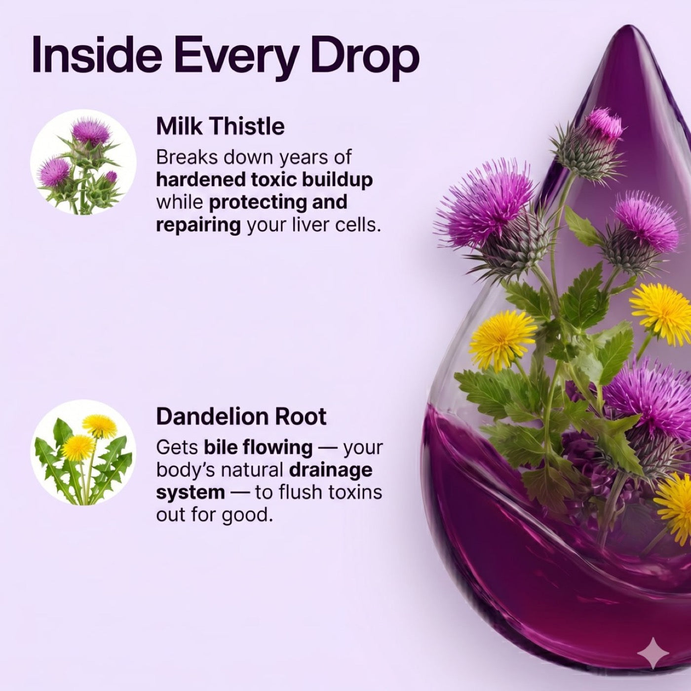 Inside Every Drop — Milk Thistle + Dandelion Root