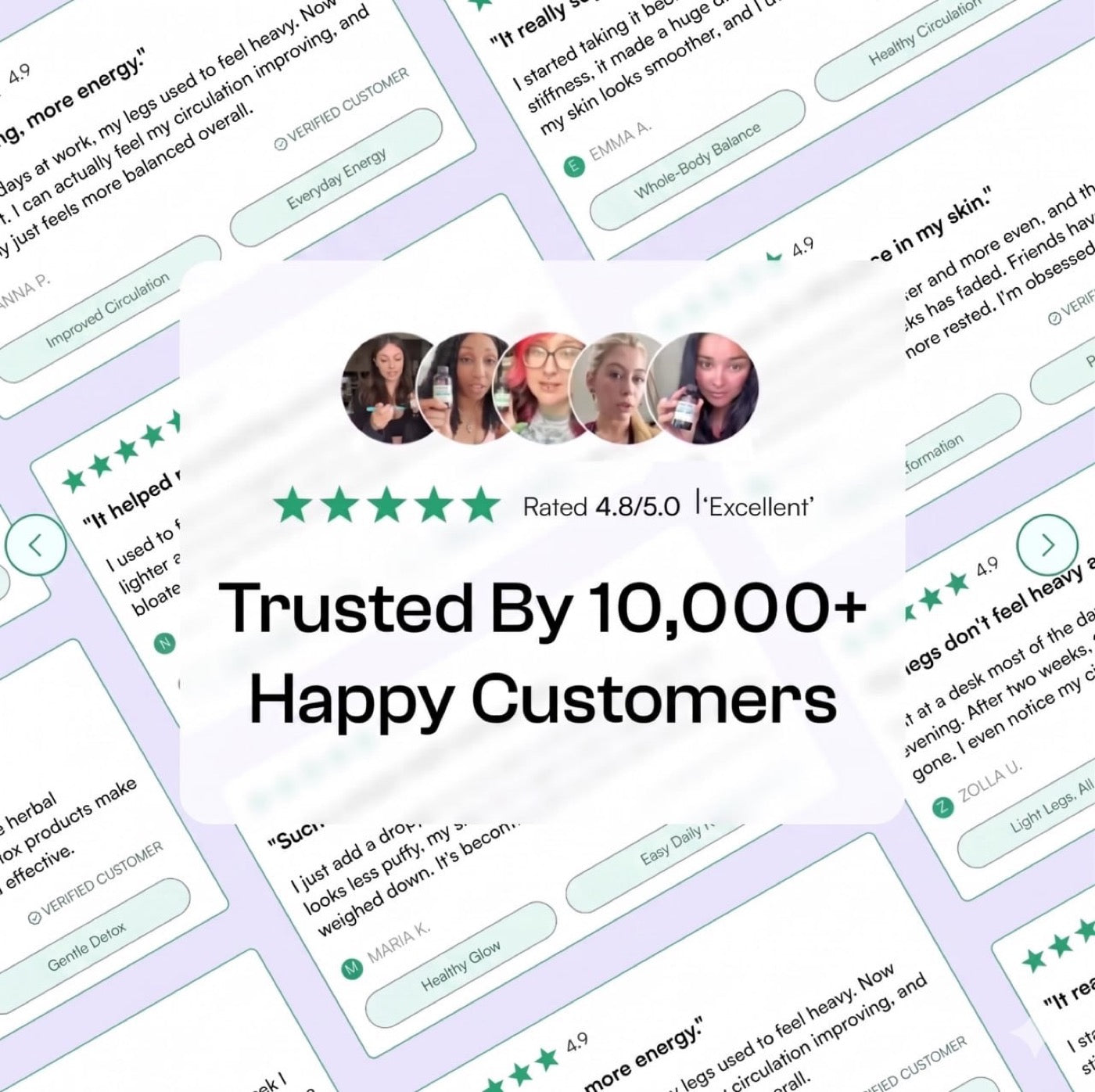 Trusted by 10,000+ Happy Customers · 4.8/5.0 Excellent