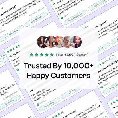 Trusted by 10,000+ Happy Customers · 4.8/5.0 Excellent